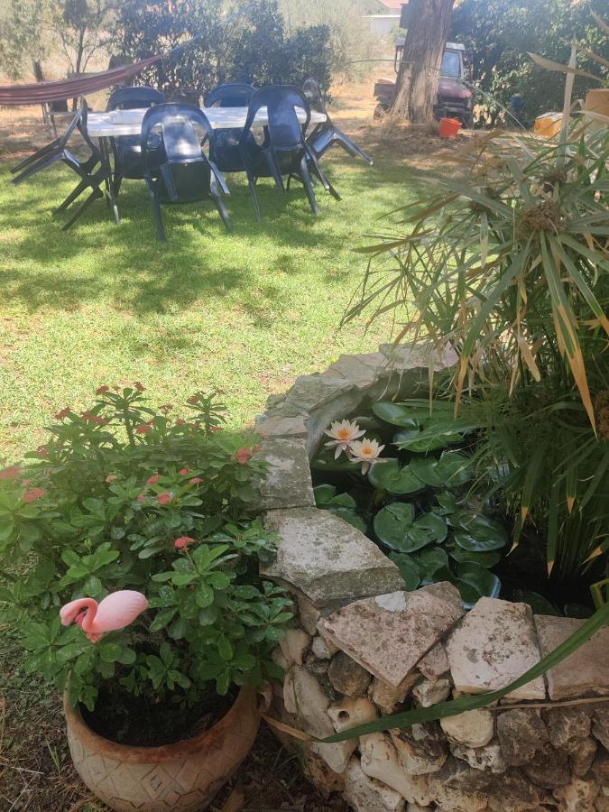 Chez Rothman Sublet Apartment Shadmot Devora Ngoại thất bức ảnh